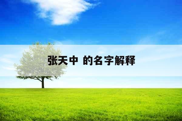 张天中 的名字解释