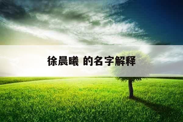 徐晨曦 的名字解释 徐晨曦 的名字解释