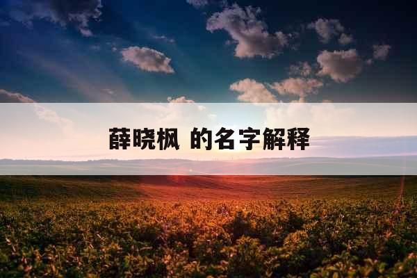 薛晓枫 的名字解释