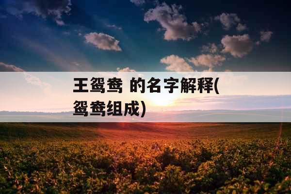 王鸳鸯 的名字解释(鸳鸯组成)