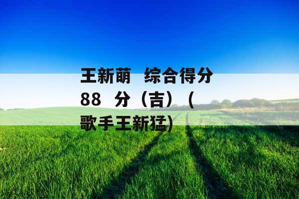 王新萌  综合得分 88  分（吉） (歌手王新猛)