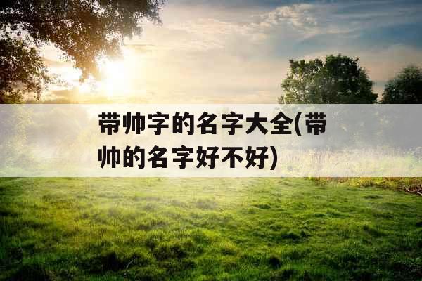 带帅字的名字大全(带帅的名字好不好)