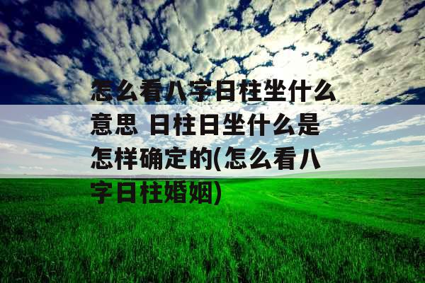 怎么看八字日柱坐什么意思 日柱日坐什么是怎样确定的(怎么看八字日柱婚姻) 怎么看八字日柱坐什么意思 日柱日坐什么是怎样确定的(怎么看八字日柱婚姻)