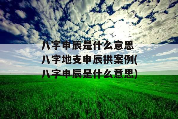 八字申辰是什么意思 八字地支申辰拱案例(八字申辰是什么意思)