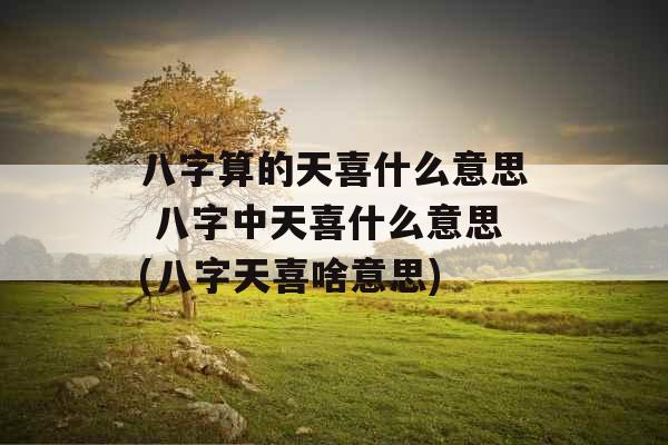 八字算的天喜什么意思 八字中天喜什么意思(八字天喜啥意思)