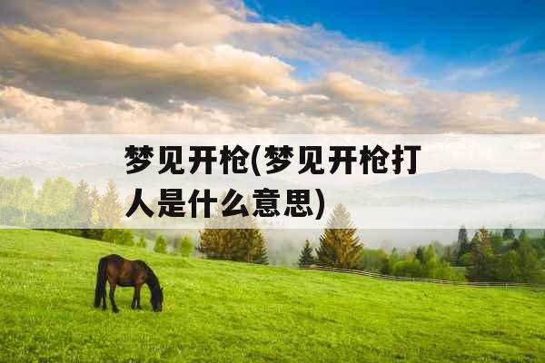 梦见开枪(梦见开枪打人是什么意思)