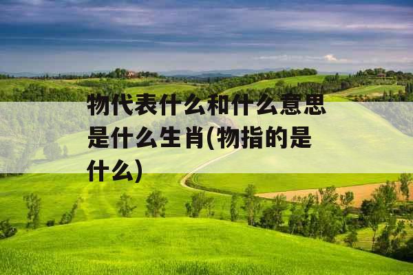 物代表什么和什么意思是什么生肖(物指的是什么)