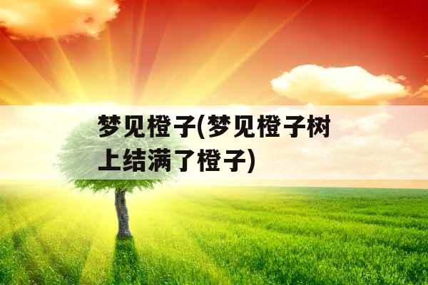 梦见橙子(梦见橙子树上结满了橙子)