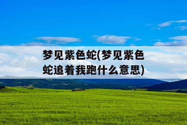 梦见紫色蛇(梦见紫色蛇追着我跑什么意思)