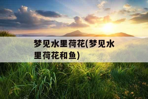 梦见水里荷花(梦见水里荷花和鱼) 梦见水里荷花(梦见水里荷花和鱼)