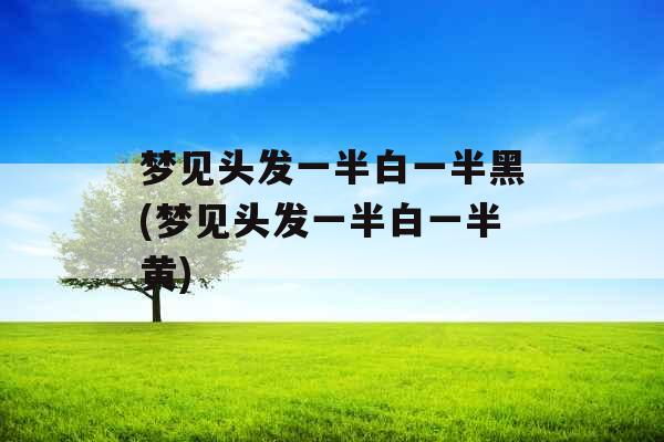 梦见头发一半白一半黑(梦见头发一半白一半黄)