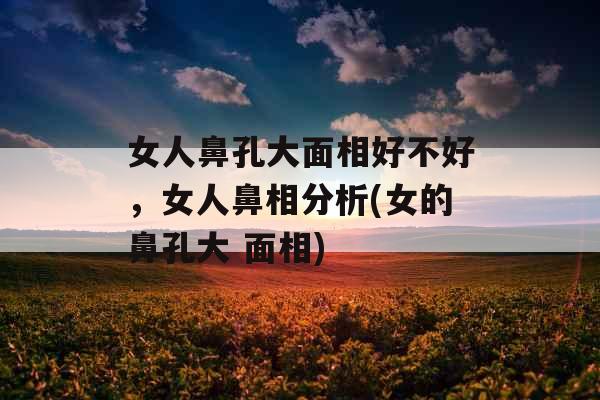 女人鼻孔大面相好不好，女人鼻相分析(女的鼻孔大 面相)
