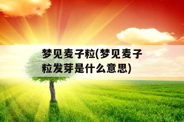 梦见麦子粒(梦见麦子粒发芽是什么意思)