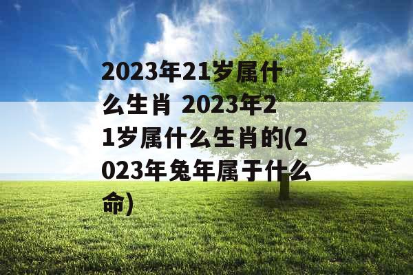 2023年21岁属什么生肖 2023年21岁属什么生肖的(2023年兔年属于什么命) 2023年21岁属什么生肖 2023年21岁属什么生肖的(2023年兔年属于什么命)