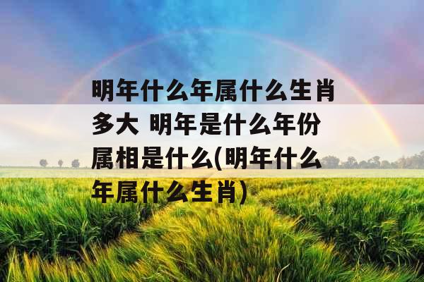 明年什么年属什么生肖多大 明年是什么年份属相是什么(明年什么年属什么生肖)