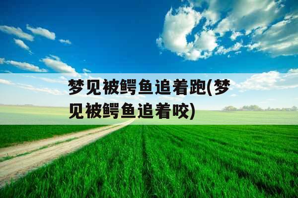 梦见被鳄鱼追着跑(梦见被鳄鱼追着咬) 梦见被鳄鱼追着跑(梦见被鳄鱼追着咬)