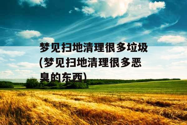 梦见扫地清理很多垃圾(梦见扫地清理很多恶臭的东西)