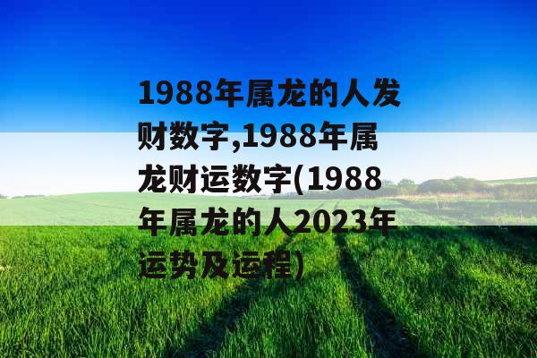 1988年属龙的人发财数字,1988年属龙财运数字(1988年属龙的人2023年运势及运程)