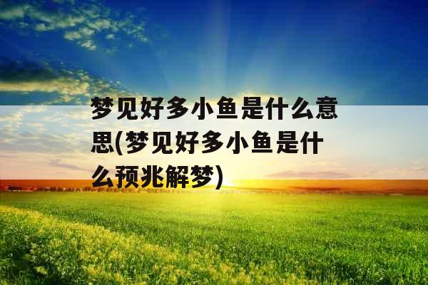 梦见好多小鱼是什么意思(梦见好多小鱼是什么预兆解梦) 梦见好多小鱼是什么意思(梦见好多小鱼是什么预兆解梦)