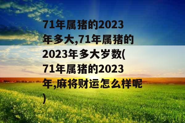 71年属猪的2023年多大,71年属猪的2023年多大岁数(71年属猪的2023年,麻将财运怎么样呢)