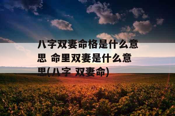 八字双妻命格是什么意思 命里双妻是什么意思(八字 双妻命)