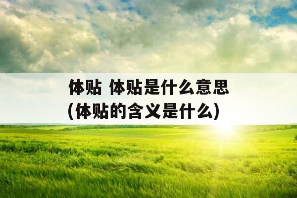 体贴 体贴是什么意思(体贴的含义是什么)