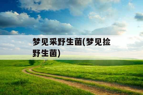 梦见采野生菌(梦见捡野生菌)