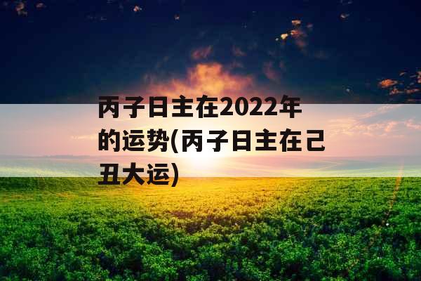 丙子日主在2022年的运势(丙子日主在己丑大运)