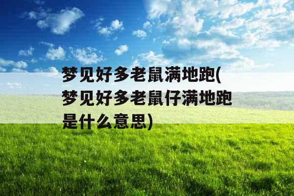 梦见好多老鼠满地跑(梦见好多老鼠仔满地跑是什么意思)