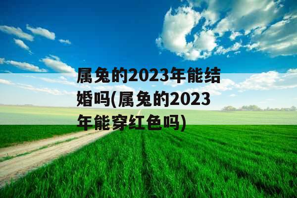 属兔的2023年能结婚吗(属兔的2023年能穿红色吗)