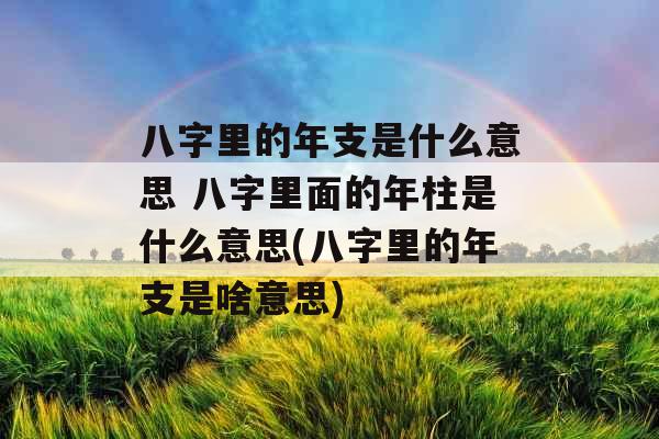 八字里的年支是什么意思 八字里面的年柱是什么意思(八字里的年支是啥意思)