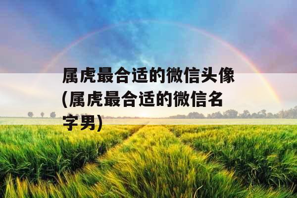 属虎最合适的微信头像(属虎最合适的微信名字男) 属虎最合适的微信头像(属虎最合适的微信名字男)