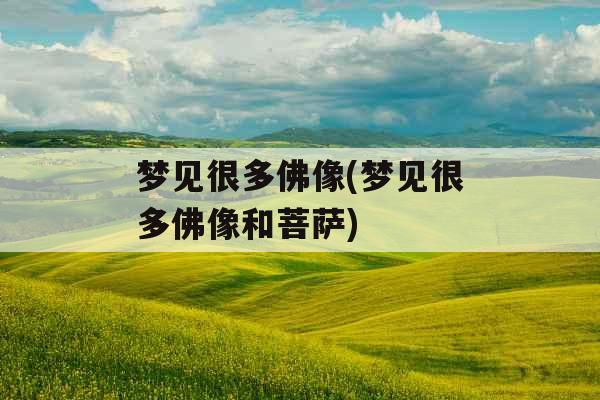 梦见很多佛像(梦见很多佛像和菩萨) 梦见很多佛像(梦见很多佛像和菩萨)