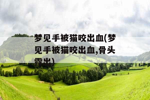 梦见手被猫咬出血(梦见手被猫咬出血,骨头露出)