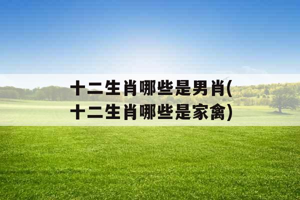 十二生肖哪些是男肖(十二生肖哪些是家禽)