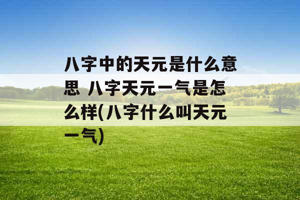 八字中的天元是什么意思 八字天元一气是怎么样(八字什么叫天元一气)