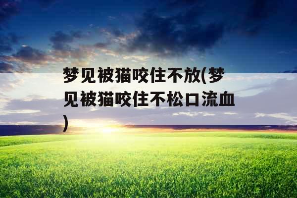 梦见被猫咬住不放(梦见被猫咬住不松口流血) 梦见被猫咬住不放(梦见被猫咬住不松口流血)