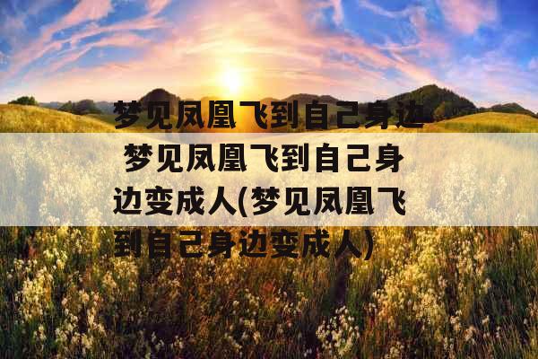 梦见凤凰飞到自己身边 梦见凤凰飞到自己身边变成人(梦见凤凰飞到自己身边变成人)