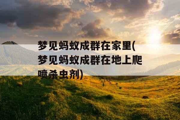 梦见蚂蚁成群在家里(梦见蚂蚁成群在地上爬喷杀虫剂)