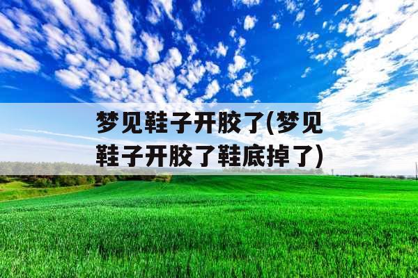 梦见鞋子开胶了(梦见鞋子开胶了鞋底掉了) 梦见鞋子开胶了(梦见鞋子开胶了鞋底掉了)