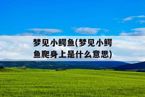 梦见小鳄鱼(梦见小鳄鱼爬身上是什么意思)