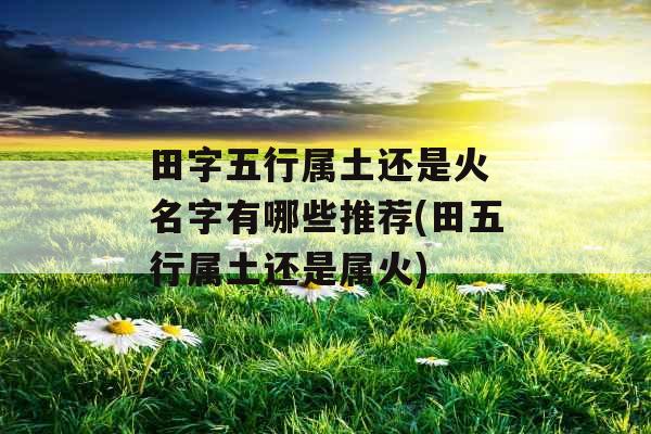 田字五行属土还是火 名字有哪些推荐(田五行属土还是属火) 田字五行属土还是火 名字有哪些推荐(田五行属土还是属火)