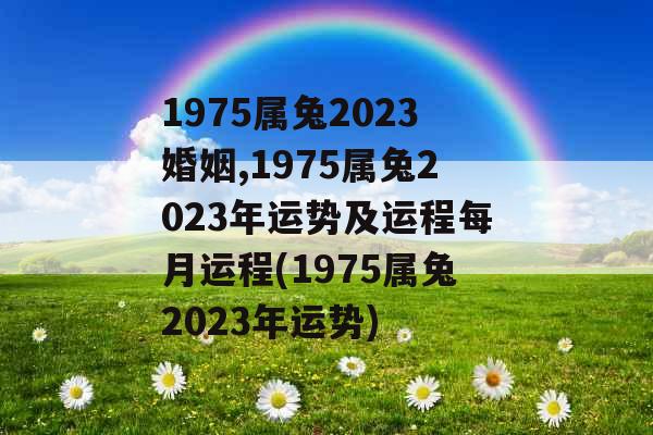 1975属兔2023婚姻,1975属兔2023年运势及运程每月运程(1975属兔2023年运势)