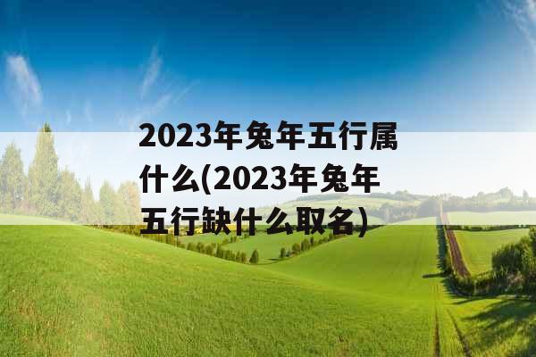 2023年兔年五行属什么(2023年兔年五行缺什么取名)