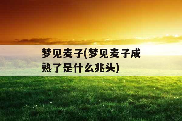 梦见麦子(梦见麦子成熟了是什么兆头)