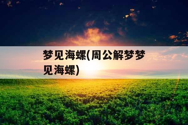 梦见海螺(周公解梦梦见海螺)
