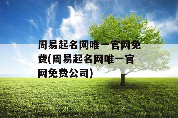 周易起名网唯一官网免费(周易起名网唯一官网免费公司)