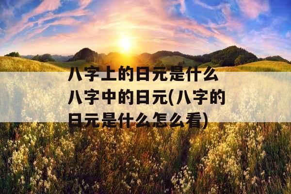 八字上的日元是什么 八字中的日元(八字的日元是什么怎么看) 八字上的日元是什么 八字中的日元(八字的日元是什么怎么看)