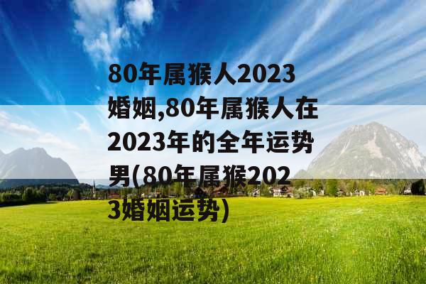 80年属猴人2023婚姻,80年属猴人在2023年的全年运势男(80年属猴2023婚姻运势) 80年属猴人2023婚姻,80年属猴人在2023年的全年运势男(80年属猴2023婚姻运势)