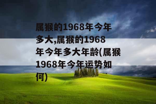 属猴的1968年今年多大,属猴的1968年今年多大年龄(属猴1968年今年运势如何)